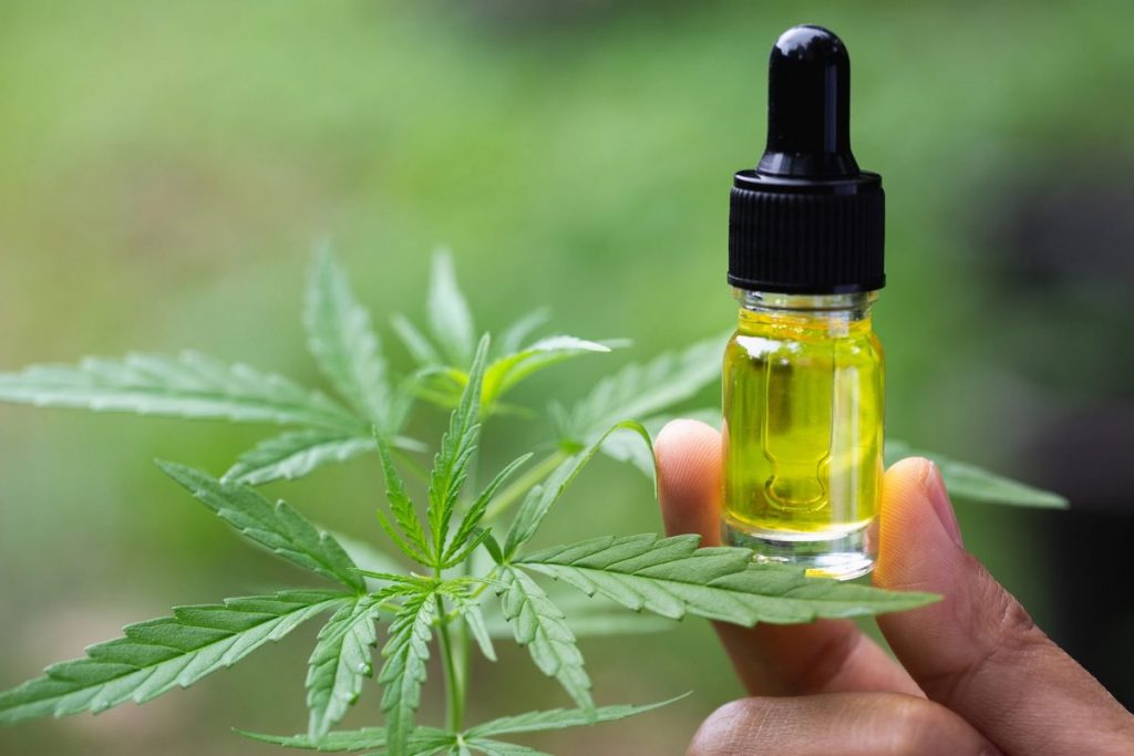 CBD-Oil